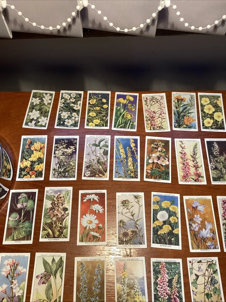 WD & HO Wills Wild Flowers 2nd series 1937 Full Set of 50 cards - Image 2 of 4