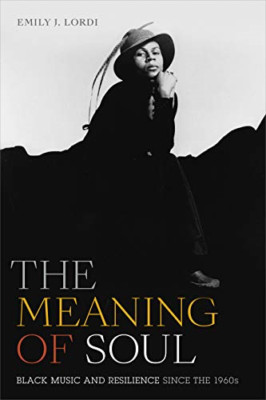 The Meaning of Soul - Paperback NEW Lordi, Emily J. 21/08/2020