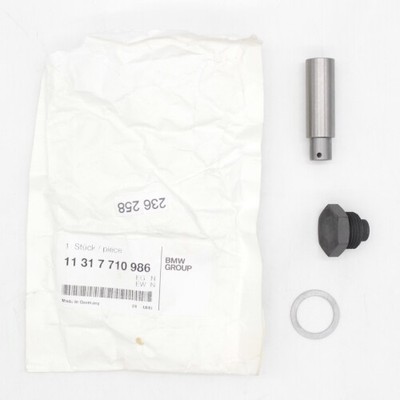 BMW Chain Tensioner, Bolt, Seal Ring Part Number 11317710986 | eBay 