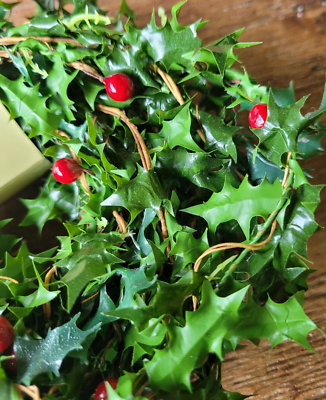 Stechpalme Beere 3.30m Trdekoration Gelnder Girlande Weihnachtsdeko Deko  Ilex | eBay