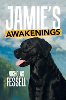 Jamie's Awakenings Nicholas Fessell Taschenbuch Kartoniert / Broschiert Englisch