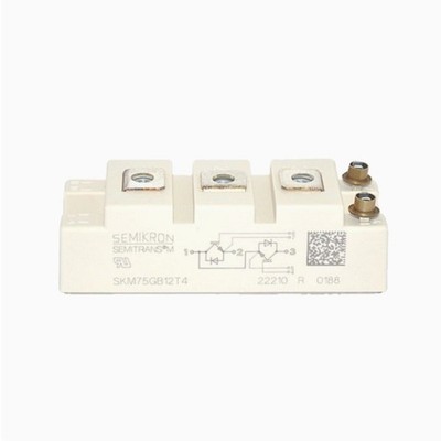 SKM50GB12T4 SKM75GB12T4 SKM75GB128D SKM100GB12T4 Thyristor IGBT module