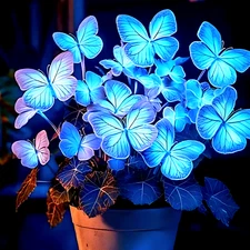 50 Heirloom Blue Butterfly Coleus Seeds – Rare Ornamental Foliage Plant – Vibran
