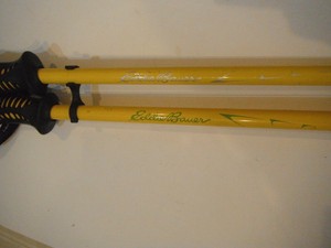 eddie bauer trekking pole