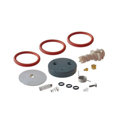 DELONGHI 5513235511 INFUSER KIT