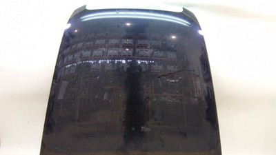 4F0823029F MOTORHAUBE / 4F0 823 029 F / COLOR EXTERIOR / Nº DE PINTURA 7X / Z5D