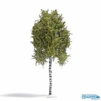 Busch Birke FrüHling 170Mm 3781