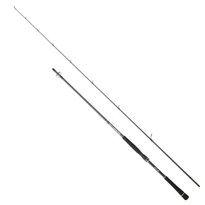 Hearty Rise Salt Monster SW Spin 2,20m 10-40g - Spinnrute, Meeresrute, Angelrute