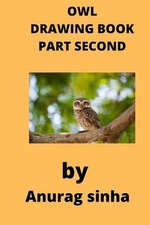 Owl Drawing Book