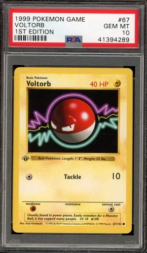 Pokemon Voltorb Base Set Shadowless 1st Edition #67 PSA 10 Gem Mint