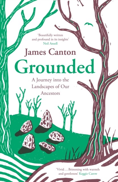 Grounded by James Canton (Paperback Book)