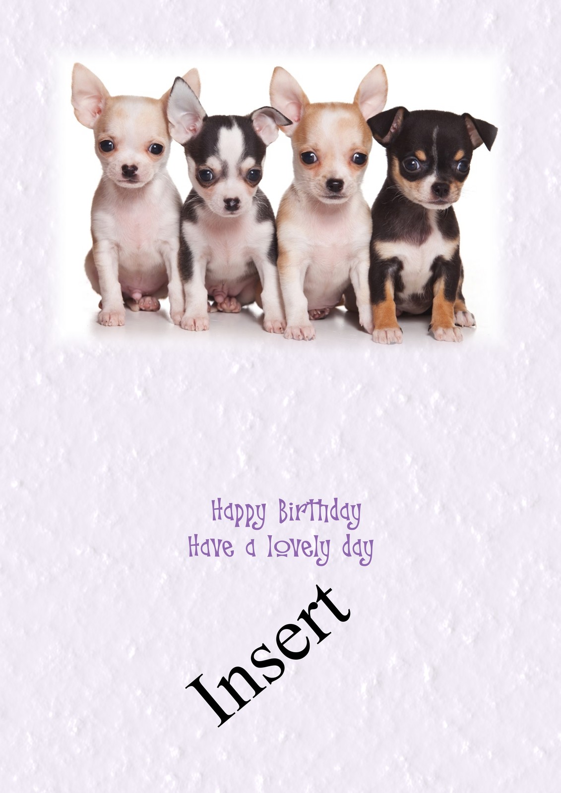 personalised birthday card chihuahua puppies any name age and ...