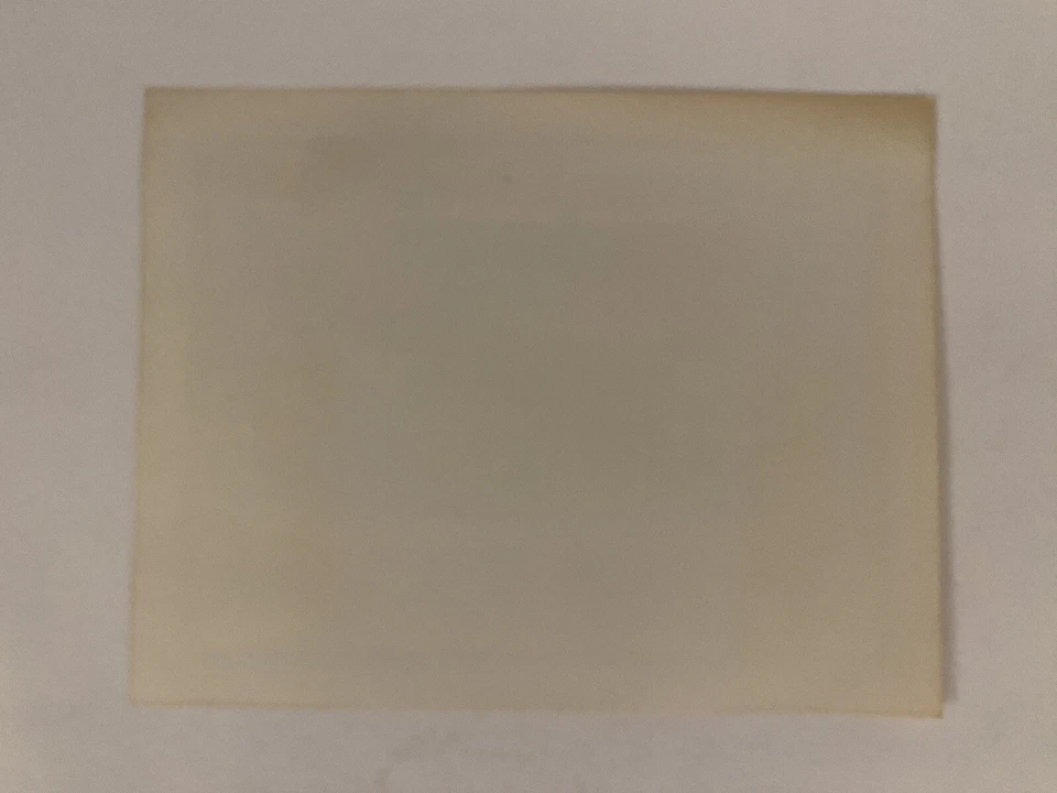 Foto promocional del equipo Big Boy de los Pittsburgh Penguins Elby 1988-89 casi nueva-como nueva Foto 3 de 3