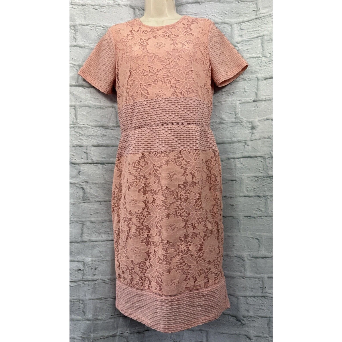 Miss Selfridge Lace Pink Dresses for Women for sale | eBay UK Miss Selfridge Lace Pink Dresses for Women for sale | eBay UK