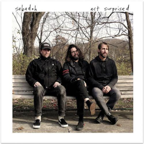 Sebadoh Act Surprised (CD) Album