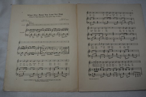 What Dye Mean You Lost Yer Dog 1913 Vintage Sheet Music Allen Daly 