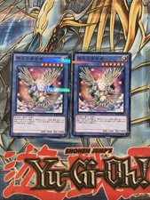 2x 20AP-JP075 - Yugioh - Giapponese - Araldo della Perfezione - Parallelo NM
