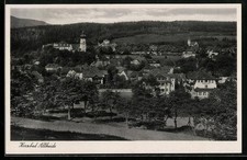 Bad Altheide, Gesamtansicht, Ansichtskarte 