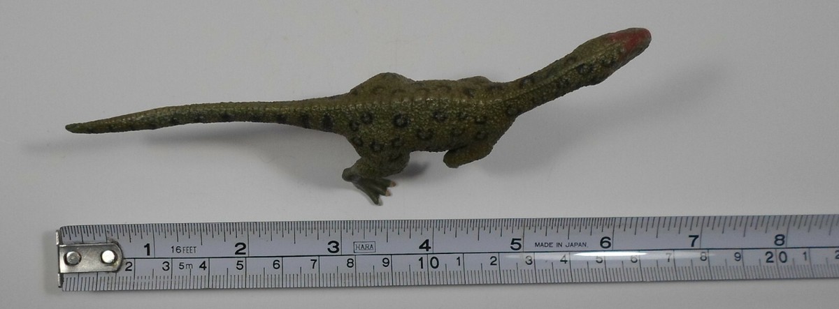 Collecta 88752 シュナウザー ggw725x Amazon.com: Collecta Prehistoric Life Uintatherium Deluxe (1