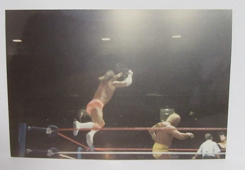 WWF Macho Man & Hulk Hogan Original Type 1 WWF WWE Wrestling Ringside 1988/89