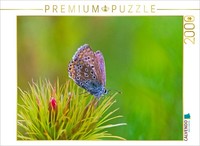 Calvendo Puzzle BläUling 2000 Teile Puzzle Quer | 2000 Teile Lege-GrößE 90X67Cm