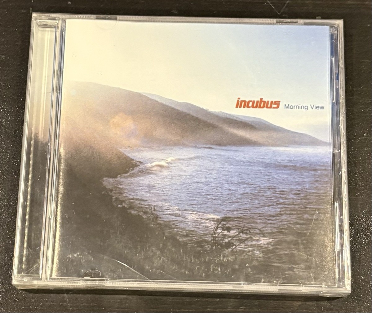Morning View by Incubus (CD, 2001) for sale online | eBay