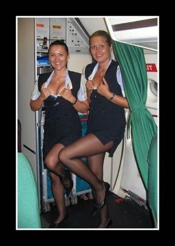 Found PHOTO of Beautiful Sexy Airline Flight Attendant Airplane Girl Stewardess