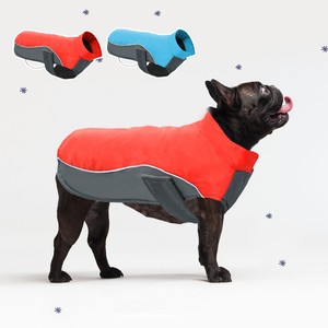 small dog winter coats