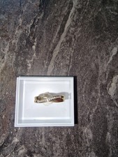 9ct Gold Half Eternity Diamond Ring