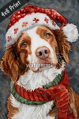Dog Brittany Spaniel in holiday outfit watercolor Art 4x6 Print