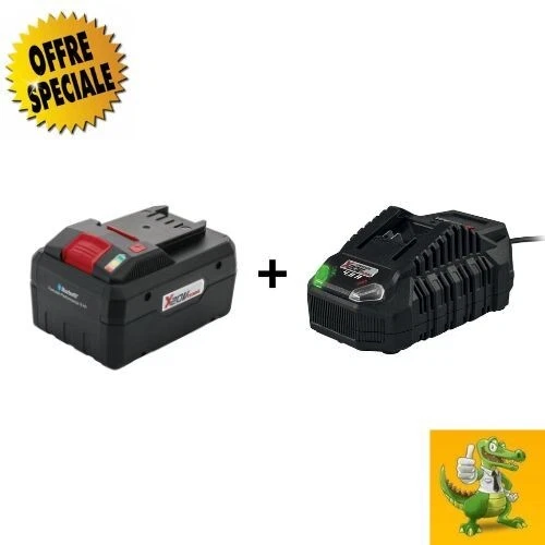 Parkside® Lot d'une batterie 20V 8Ah + 1 Chargeur  20V 2.4A