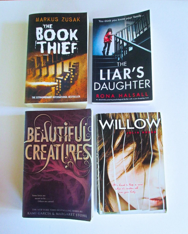 Lot of 8, Teen Young Adult Novels Books, Modern Authors, McManus De la Cruz More - Image 2 of 4