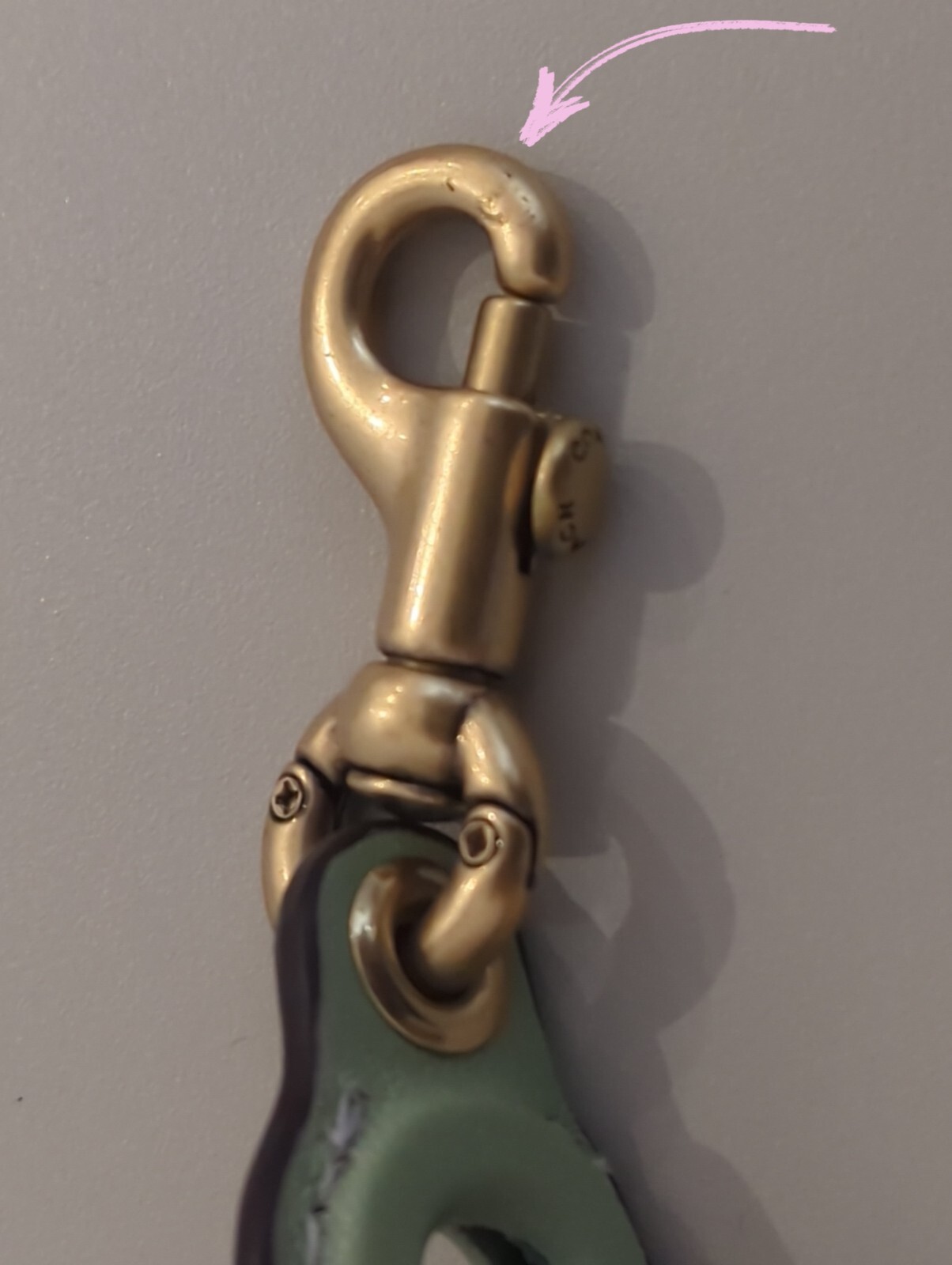 Coach Pastel Rainbow Ombre Leather Covered Short Chain Strap in Pale Pistachio eBay