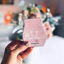 🆕 Scentsy Pink Cotton 🩷🧺 Wax Melt 8 cube Bar rrp £8