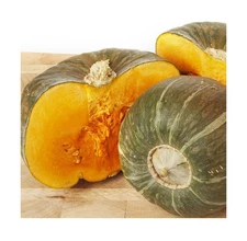 Winter Squash Seeds for Planting – Plant & Grow Burgess Buttercup Squash &