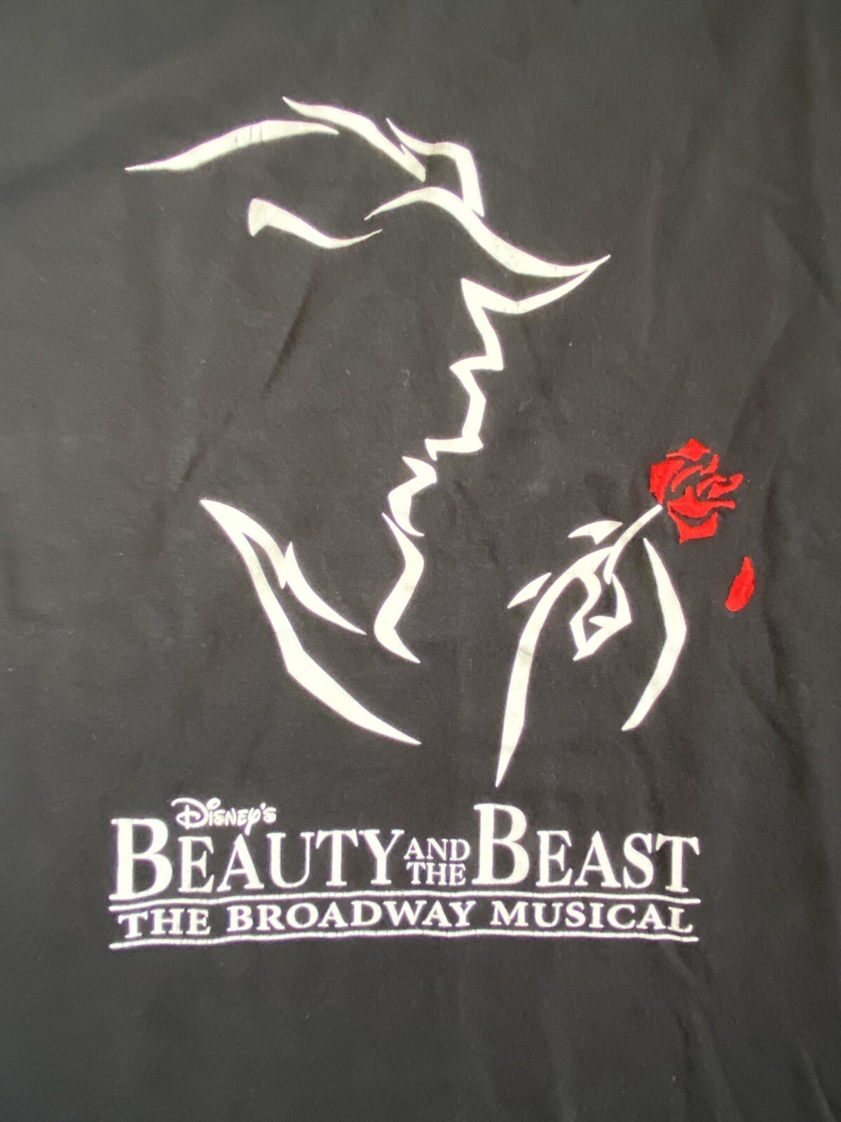 Beauty And The Beast The Broadway Musical Disney … - image 2
