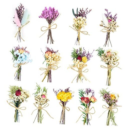 Dried Flowers - 13 PCS Mini Dried Flower Bouquet, Natural Flowers 4.3 × 2.3-image
