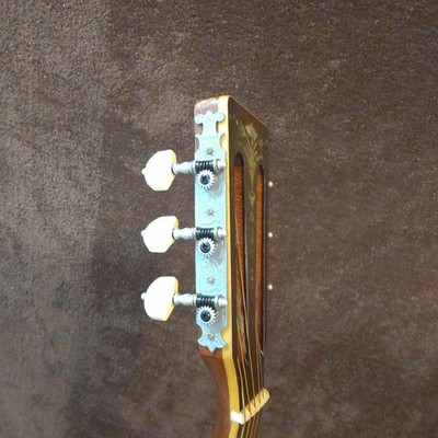 ギター Aria ADL-05