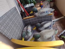 4 Erpeloder Ente Gartenteich
