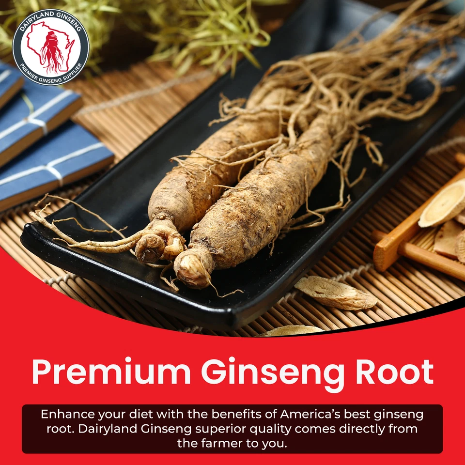 Raíces de ginseng americano 西洋参 (no transgénico, totalmente natural). Puntas de ginseng de Wisconsin Foto 2 de 4
