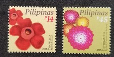 * LIVRAISON GRATUITE Philippines Popular Flowers 2019 Rafflesia (timbre) MNH