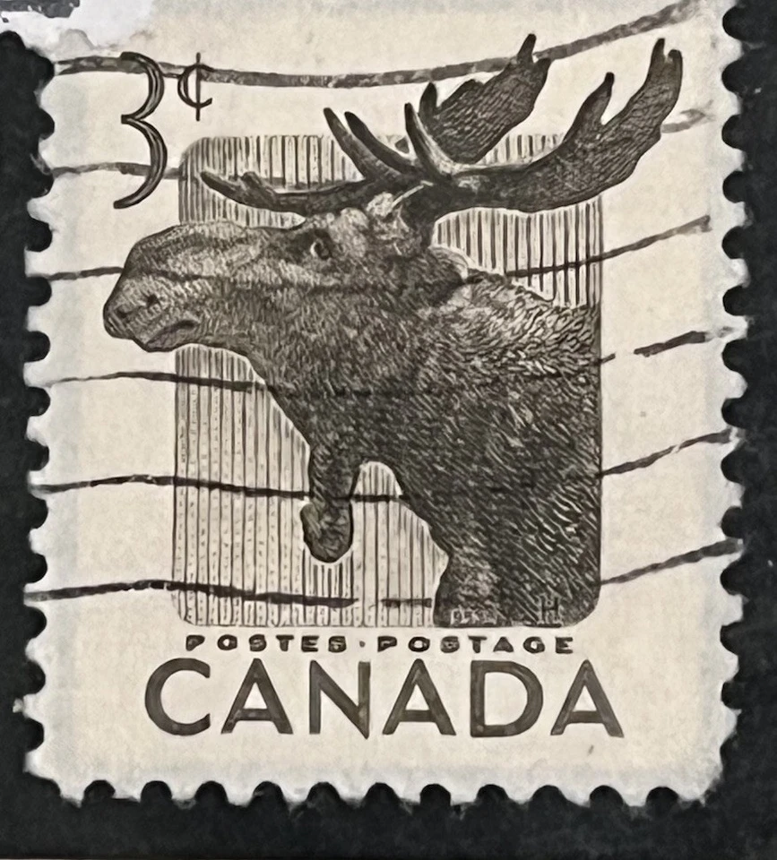 The Reason You Can Not Find Me Here Is That I Am Not Here I’ve GONE HUNTING - Image 3 of 4