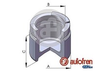 Autofren Seinsa D02571 Kolben, Bremssattel FüR Chevrolet, Daewoo, Fso, Honda