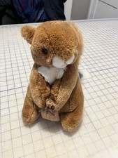 Eden Toys Squirrel Nutkin Beatrix Potter Plush 11 1990 vintage