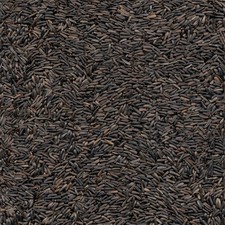 Kaytee 100061915 Nyjer Wild Songbird Food Thistle Seed 8 lbs.