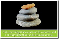 NEW Classroom Motivational POSTER - Not Everything That Can Be Counted Counts