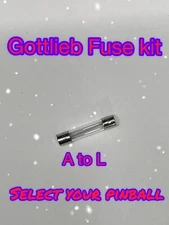Gottlieb Pinball Machine Fuse Kit **Select Your Pinball (A to L)**