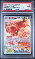 Dachsbun ex 169/142 Sv07: Stellar Crown Holo for sale online Dachsbun ex 169/142 Sv07: Stellar Crown Holo for sale online
