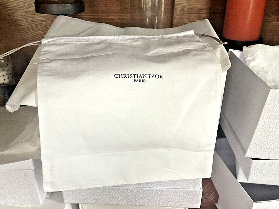 Christian DIOR Pouch bag travel holiday party gift Disney Birthday