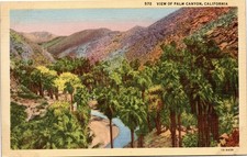 Palm Springs California View of Palm Canyon California